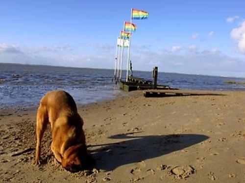 Ferienhaus Cordes, Fewo Vermittlung Nordsee Dangastermoor Экстерьер фото
